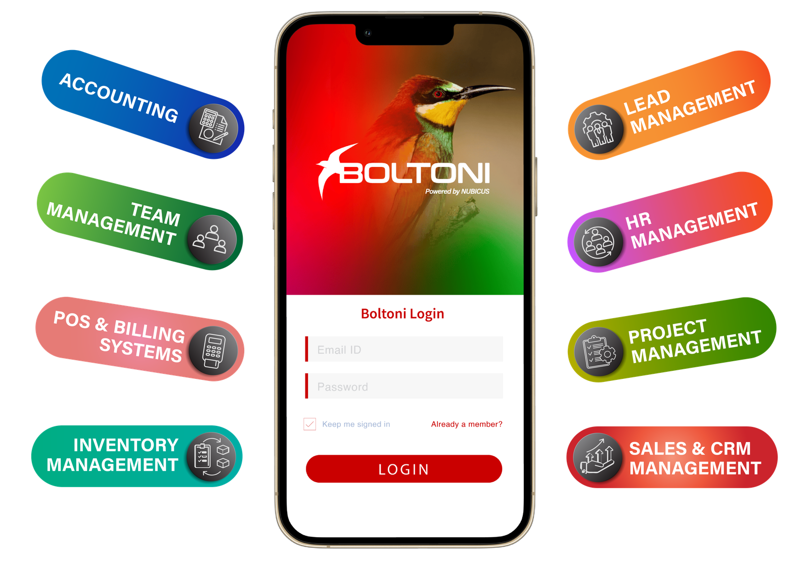 ERP Interface Preview